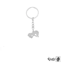 جاسوئیچی میش کد 577