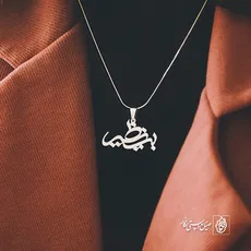 پلاک بی نظیر کد 697