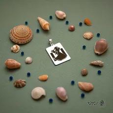 پلاک سوار قشقایی کد 210035