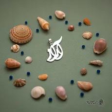 پلاک اسم آراز کد 4957