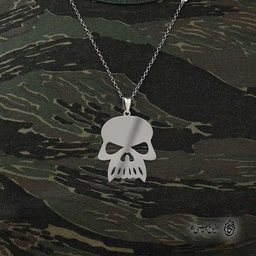 پلاک اسکلت کد 40487