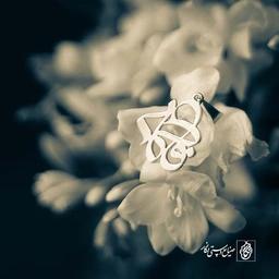 پلاک اسم فاطمه کد 58