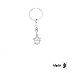 جاسوئیچی اسلیمی کد 1420