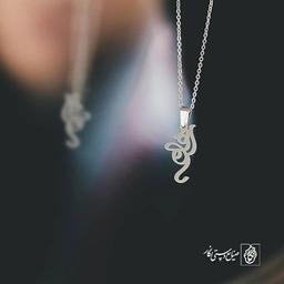 گردن آویز پلاک رهام کد 2048