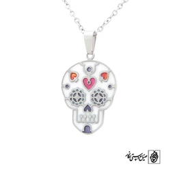 پلاک جمجمه کد 273