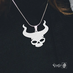 پلاک اسکلت کد 236