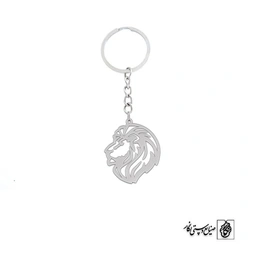 جاسوئیچی شیر کد 237