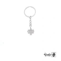 جاسوئیچی انار کد 249