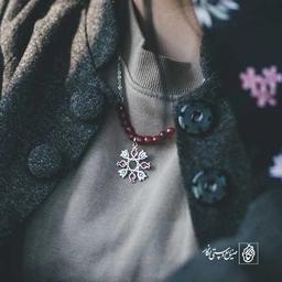 پلاک انار کد 609