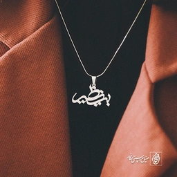 پلاک بی نظیر کد 697