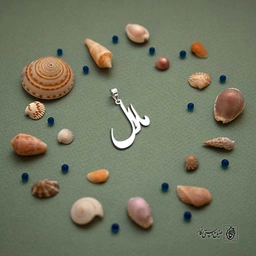 پلاک اسم مارال کد 4976