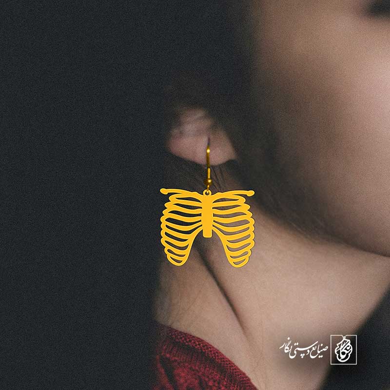 پلاک  قفسه سینه کد 40702